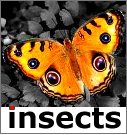Kamat's Insects