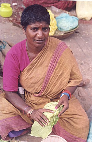 Plain Cotton Saree of a Poor Street Vendor