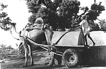 Camel Cart 