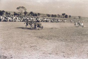 Carts of India  