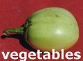 Vegetables of India
