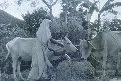 A village scene  