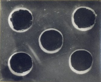 Photograph of Gelatin Bands