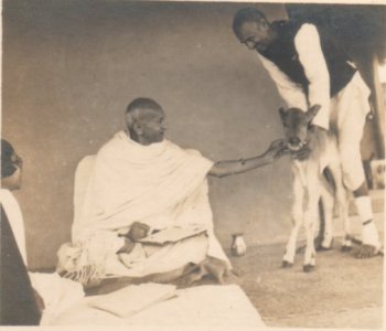 Gandhi at his Hermitage