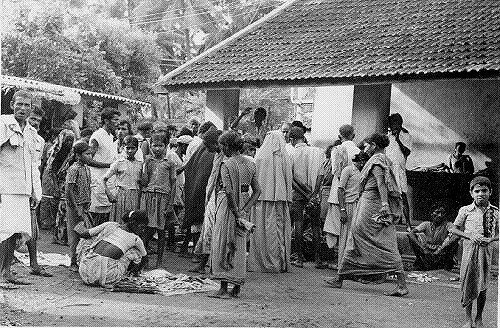 Fish Market Scene, Shirali