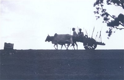 Village Silhouette  