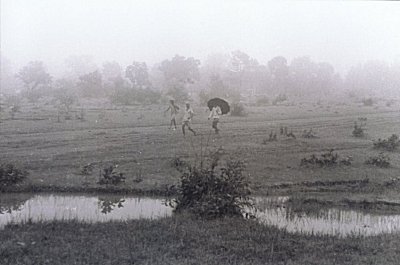 The Monsoons  