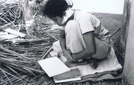 Studying in a Farm