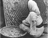 Silk Rearing in West Bengal, 1969