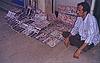 Bindi Vendor