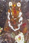 Offerings Made to a Peepal Tree