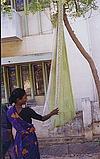 The Saree as  Cradle