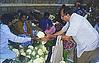 Kamat Buying Fresh Cauliflowers