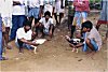 Men Grooming the Roosters for a Fight