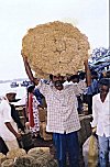 At the  Weekly Coir Market