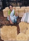 The Weekly Coir Market