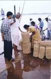 At the Coir Market