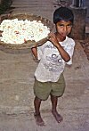 Boy Vending Fresh Flower Garlands