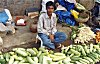 Cucumber and Radish Seller