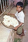 Boy Vending Fresh Flower Garlands