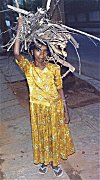 Girl with Firewood