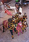 Puppetter from Rajasthan