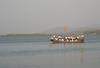 A Floating Wedding Party