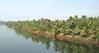 Mangalore Mangroves