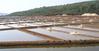 Salt Fields, Sanekatta