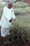 Botanist B.G.L. Swamy