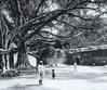 A Street in Bangalore, 19th Century