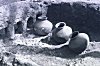 Pots Waiting to be Baked