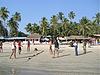 A Friendly Game of Volleyball