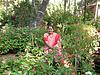 Indian Housewife in her Garden