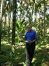 Vikas in Manikkar Tulasi Plantation