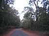 Driving Though Malnad