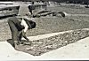 Fisherwoman Curing Fish in the Sun