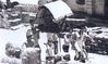 Devotees Carrying a Palanquin of Lord Venkatesh