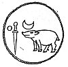 Varaha -- the logo of the Vijayanagar kings