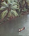 Sailing in Sharavati river, Karnataka