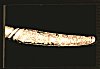 Handle of a Sword belonging to Tippu Sultan