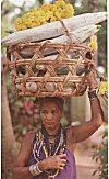 Halakki Tribal Woman Going to Marketplace