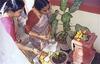 Women Offering Prayers to Tulasi Plant