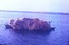 Hay being Transported on Boats