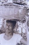 Bengali Fish Seller