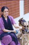 A Dog Owner in Bangalore
