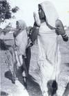 Tribal Women, Plassey