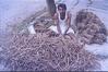 Samit Wood Seller