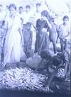 Fish Market at Malpe