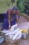 Woman Selling Snake Gourds